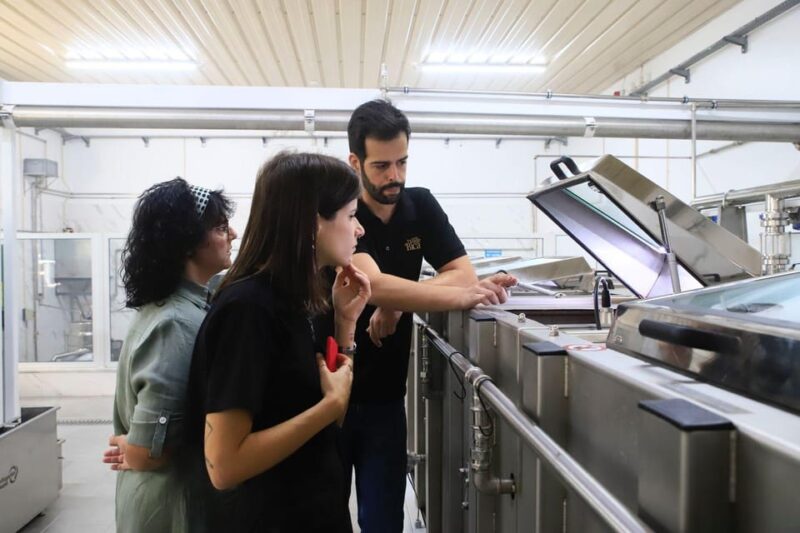 Rio Maior: Olive Oil Mill, Tastings and Natural Salines - Olive Oil Experience
