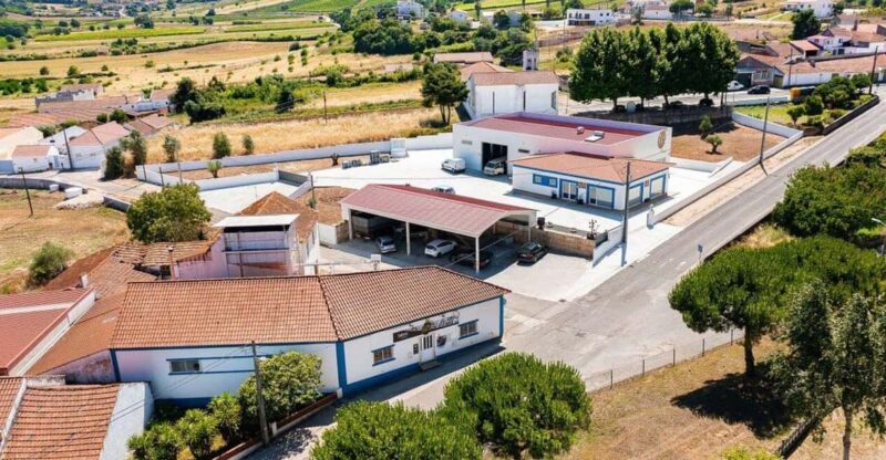 Rio Maior: Olive Oil Mill, Tastings and Natural Salines - Language and Host Details