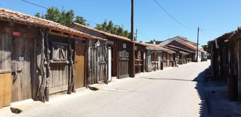 Rio Maior: Olive Oil Mill, Tastings and Natural Salines - What Youll Learn