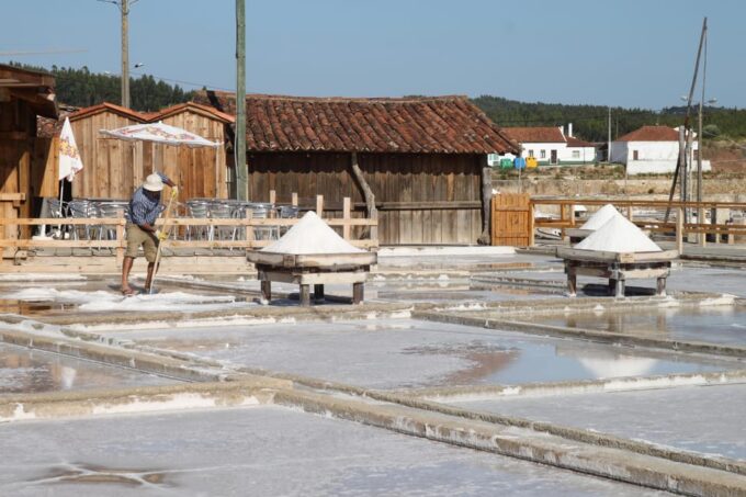 Rio Maior: Olive Oil Mill, Tastings and Natural Salines - Inclusions and Exclusions
