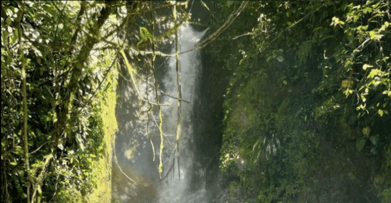 Rio Melcocho Tour - Guided Day Trip - All Inclusive. - Key Points