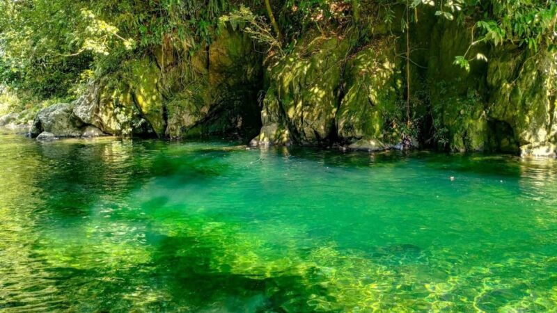 Rio Melcocho Tour - Guided Day Trip - All Inclusive. - Important Information