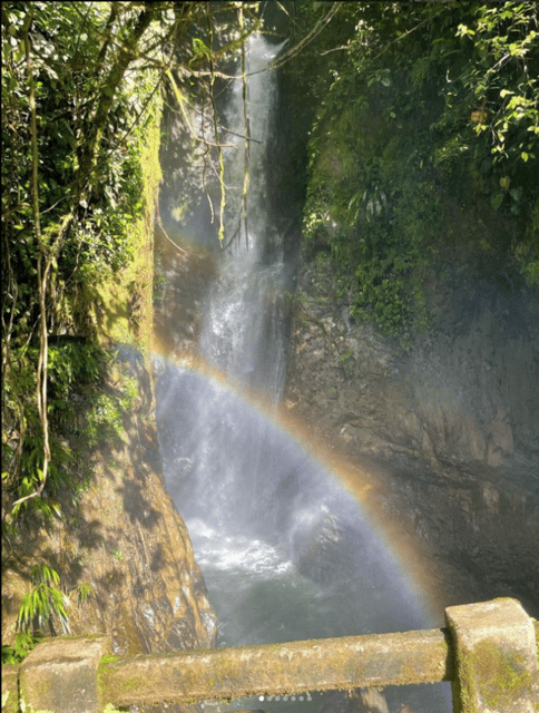 Rio Melcocho Tour - Guided Day Trip - All Inclusive. - Pickup and Cancellation
