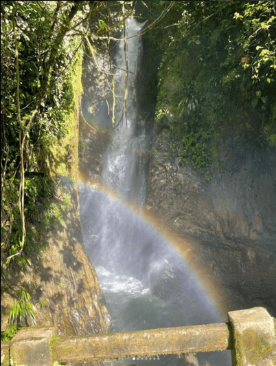 Rio Melcocho Tour - Guided Day Trip - All Inclusive. - Languages and Duration