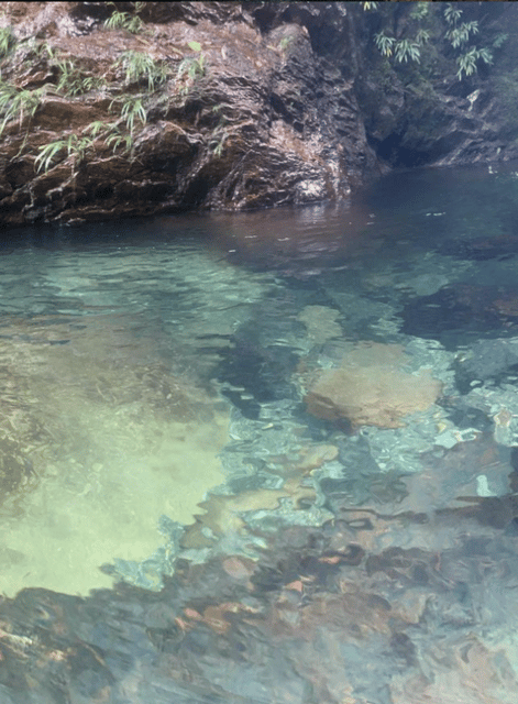 Rio Melcocho Tour - Guided Day Trip - All Inclusive. - Inclusions