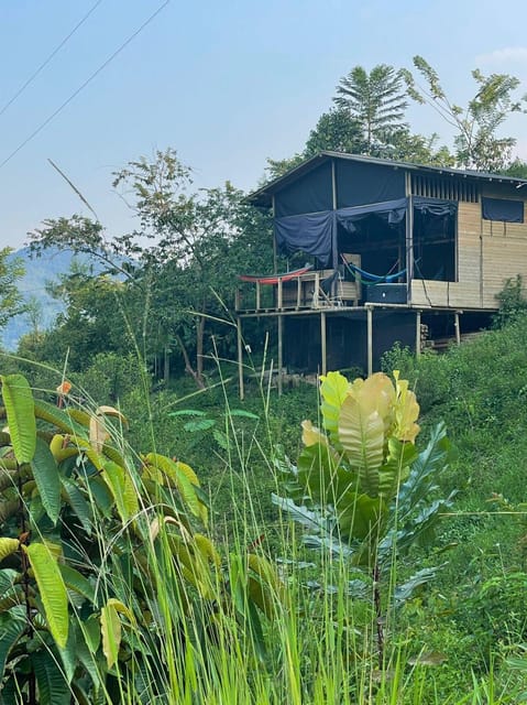 Rio Melcocho Tour - Guided Day Trip - All Inclusive. - Pickup and Cancellation