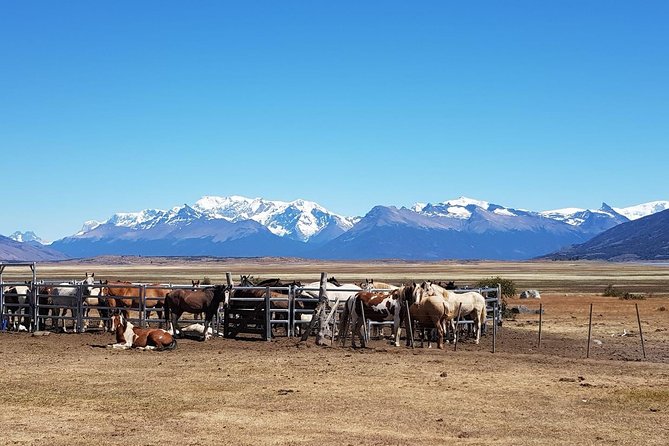 Rio Miter Horseback Riding - Patagonian Estancia Visit