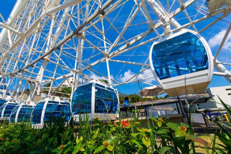 Rio: Museum of Tomorrow, Yup Star & Olympic Boulevard - Yup Star Ferris Wheel