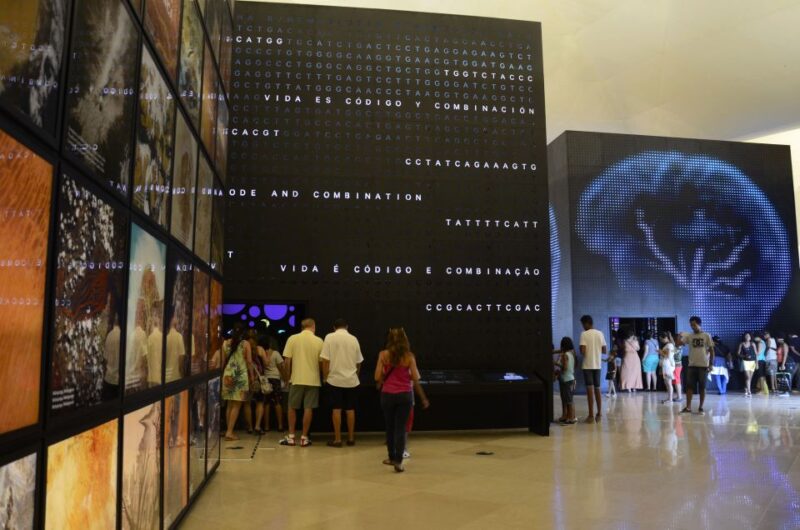 Rio: Olympic Boulevard, Museum of Tomorrow & History Tour - Key Points