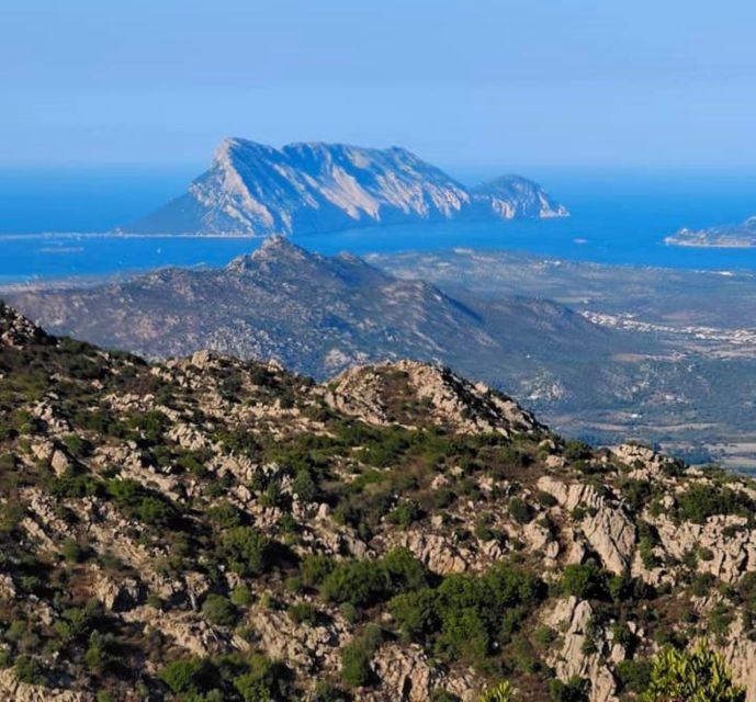 Rio Pitrisconi: Hiking and 4x4 in Monte Nieddu - Natural Wonders Exploration