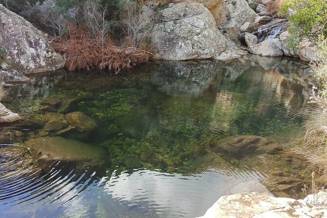 Rio Pitrisconi Monte Nieddu Excursion - Sardinian Culinary Experience