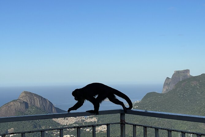 Rio Private Tour With English Guide - Booking and Cancellation