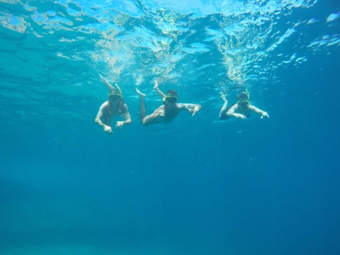 Rio: Snorkel & Swim With Turtles Tour at Tijuca Islands - Included and Excluded