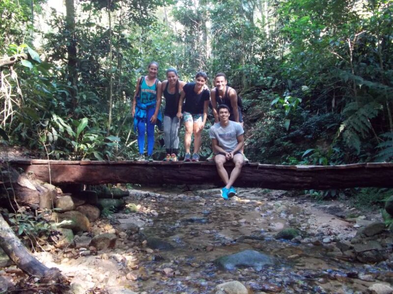 Rio: Tijuca Forest Historical Hike & Cachoeira Das Almas - Tour Duration and Guide
