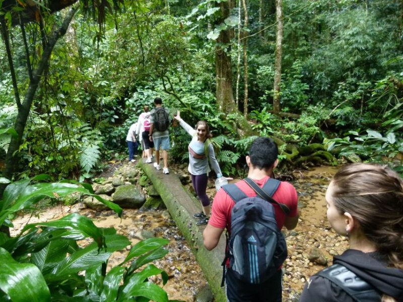 Rio: Tijuca Forest Historical Hike & Cachoeira Das Almas - Pickup and Transportation