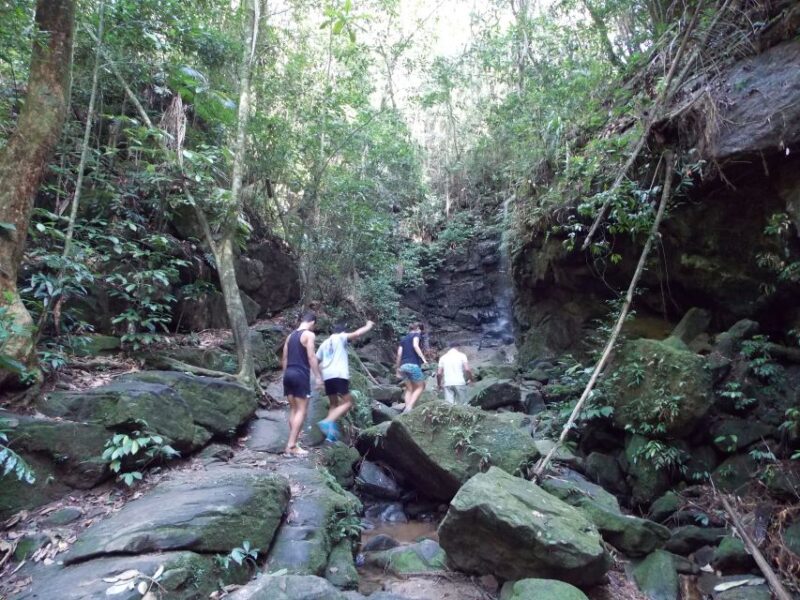 Rio: Tijuca Forest Historical Hike & Cachoeira Das Almas - Suitability and Restrictions