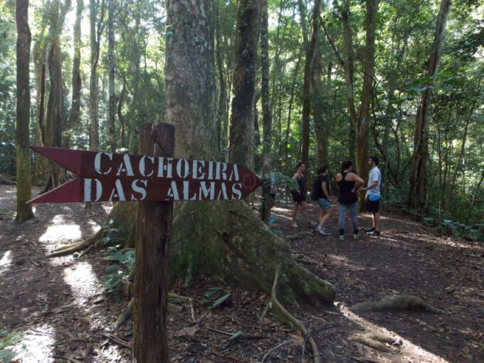 Rio: Tijuca Forest Historical Hike & Cachoeira Das Almas - Historic Remnants Along the Way