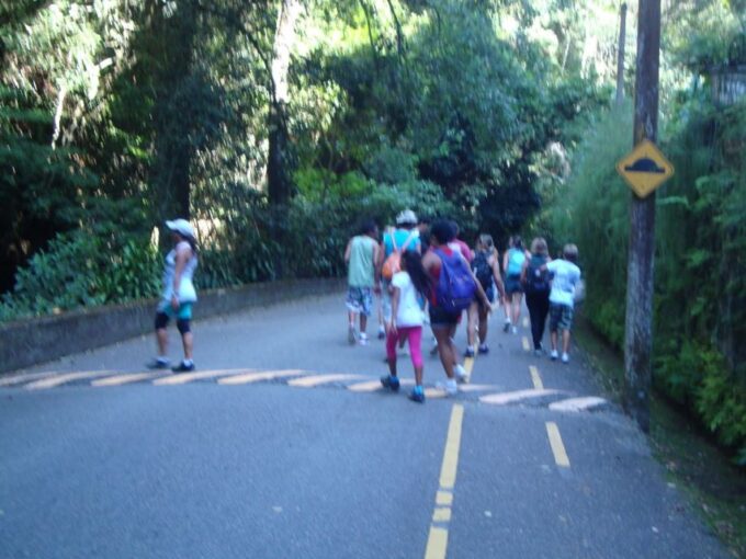 Rio: Tijuca Forest Historical Hike & Cachoeira Das Almas - Frequently Asked Questions