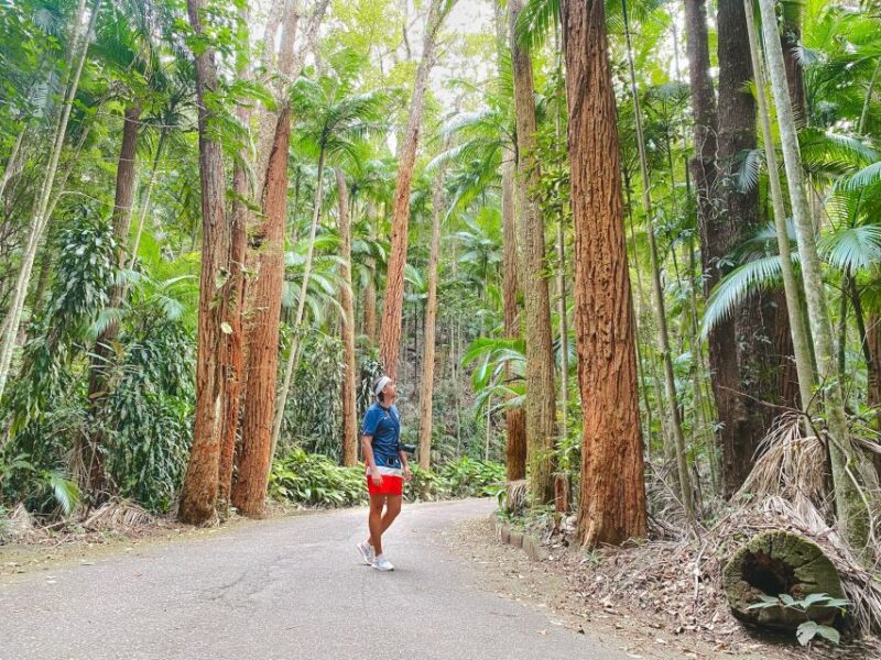 Rio: Tijuca National Park Guided Hike With Hotel Transfers - Highlights of the Guided Hike