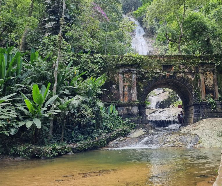 Rio: Tijuca National Park Guided Hike With Hotel Transfers - Included in the Tour