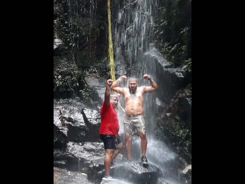 Rio: Tijuca National Park Private Guided Hike With Transfer - Wildlife Encounters in the Rainforest