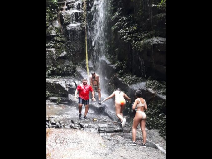 Rio: Tijuca National Park Private Guided Hike With Transfer - Picnic Supplies Included