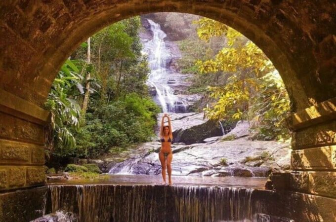 Rio: Tijuca National Park Private Guided Hike With Transfer - Moderate Hiking Route