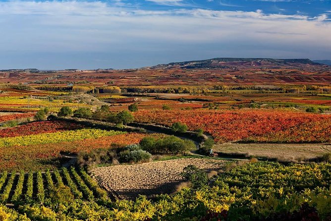 Rioja Alavesa Wineries and Medieval Villages Day Trip - Wineries to Visit
