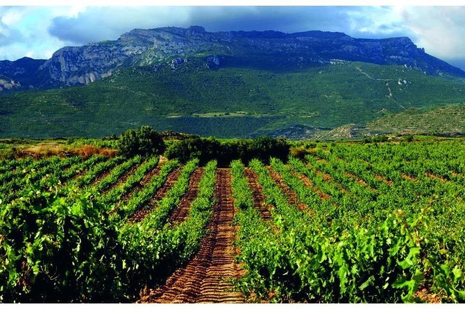 Rioja Alavesa Wineries and Medieval Villages Day Trip - Culinary Delights