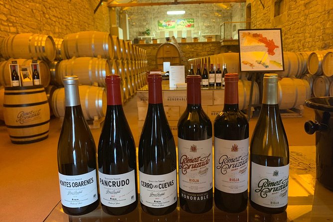 Rioja Alavesa Wineries and Medieval Villages Day Trip - Itinerary Overview