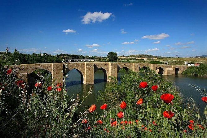 Rioja Alavesa Wineries and Medieval Villages Day Trip - Practical Travel Tips