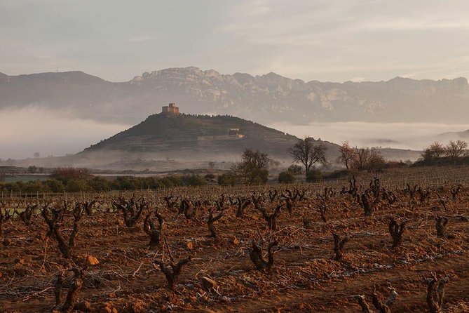 Rioja Alavesa Wineries and Medieval Villages Day Trip - Customer Experiences