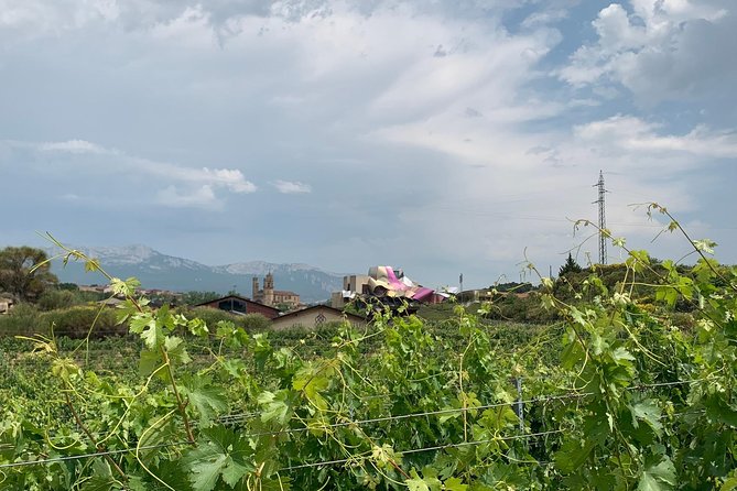 Rioja Alavesa Wineries and Medieval Villages Day Trip - Booking Information