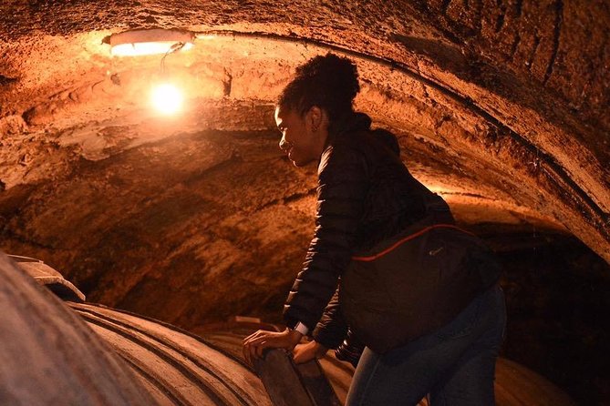 Rioja Alta and Rioja Alavesa Wine Tour - Visiting Modern and Traditional Wineries