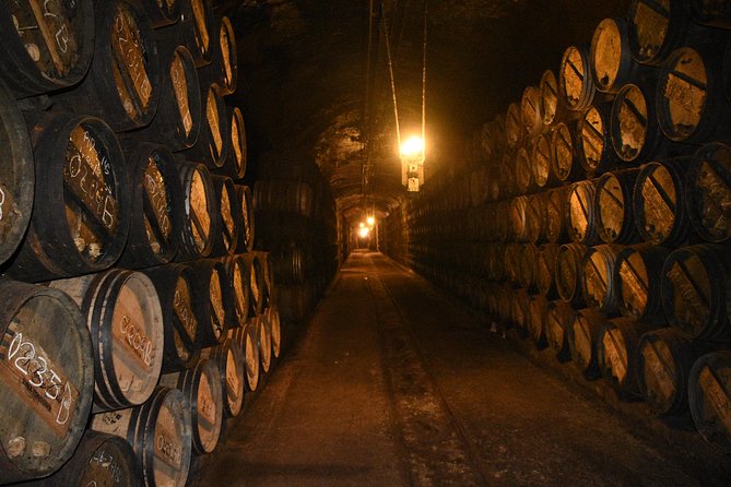 Rioja Alta and Rioja Alavesa Wine Tour - Private Transport and Guided Commentary