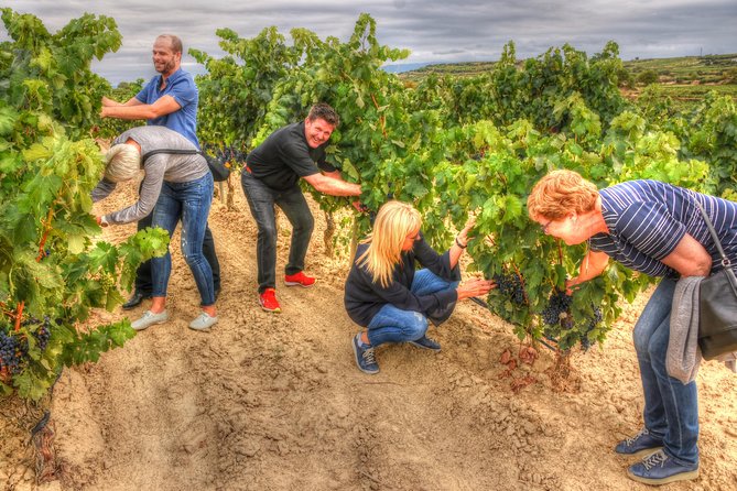 Rioja Alta and Rioja Alavesa Wine Tour - Meeting Point and Tour Duration