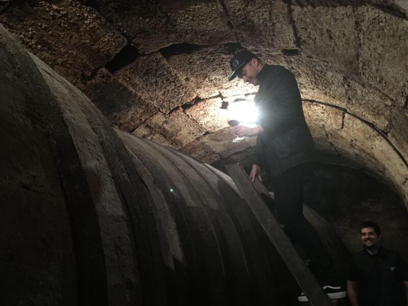 Rioja Alta and Rioja Alavesa Wine Tour (from Rioja) - Inclusions