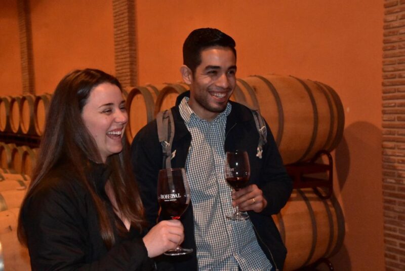 Rioja Alta and Rioja Alavesa Wine Tour (from Rioja) - Duration and Booking