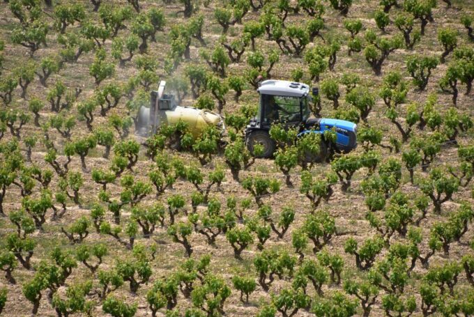 Rioja Alta and Rioja Alavesa Wine Tour (from Rioja) - Winery Visits