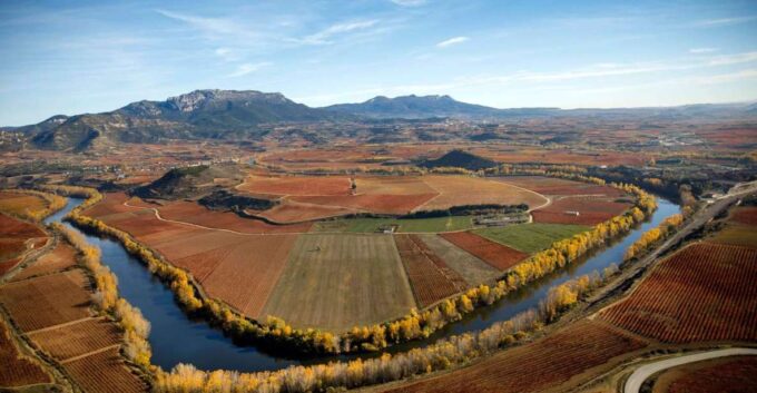 Rioja Alta and Rioja Alavesa Wine Tour (from Rioja) - Lunch and Vineyard Experience