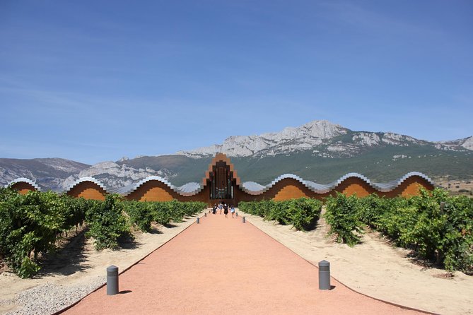 Rioja Full Experience Tour From San Sebastian With Lunch - Good To Know