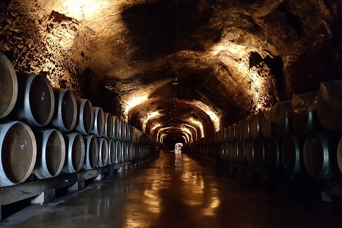 Rioja Full Experience Tour From San Sebastian With Lunch - Experience Highlights