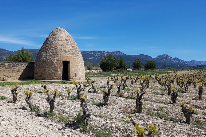 Rioja Full Experience Tour From San Sebastian With Lunch - Pickup and Duration