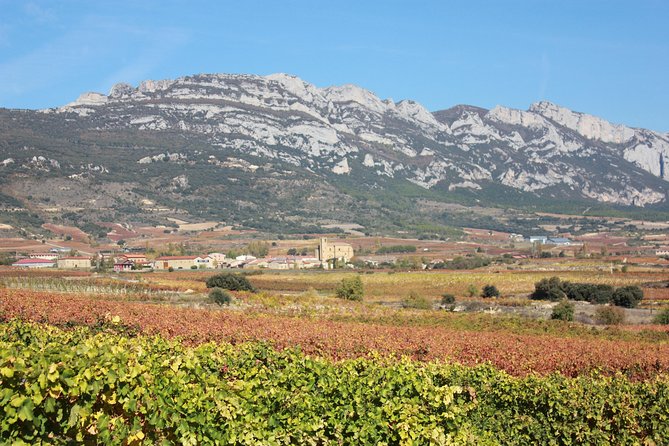 Rioja Full Experience Tour From San Sebastian With Lunch - Group Size and Pricing