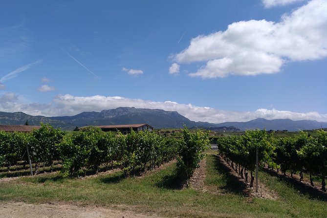 RIOJA UNCORKED - Private Enological Adventure - Culinary Pairings