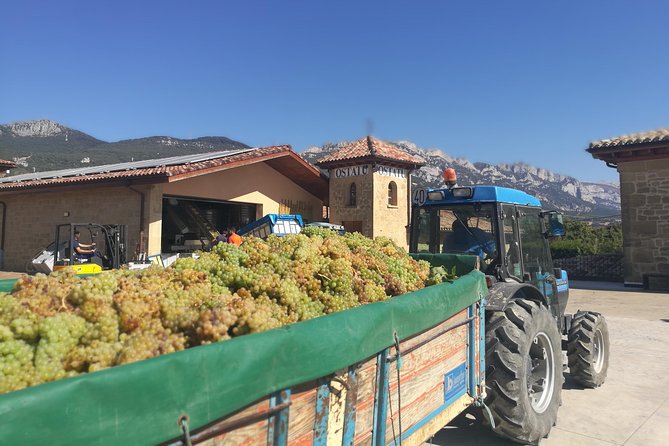 Rioja Wine Private Tour From San Sebastian - Accessibility and Flexibility