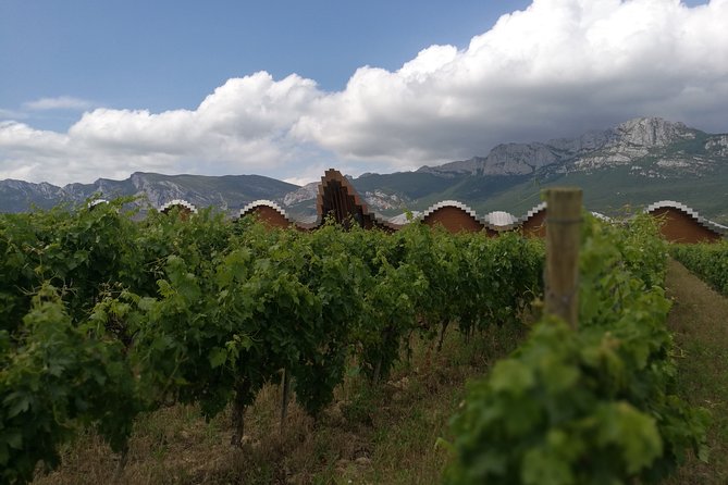 Rioja Wine Private Tour From San Sebastian - Exploring Riojas Viniculture