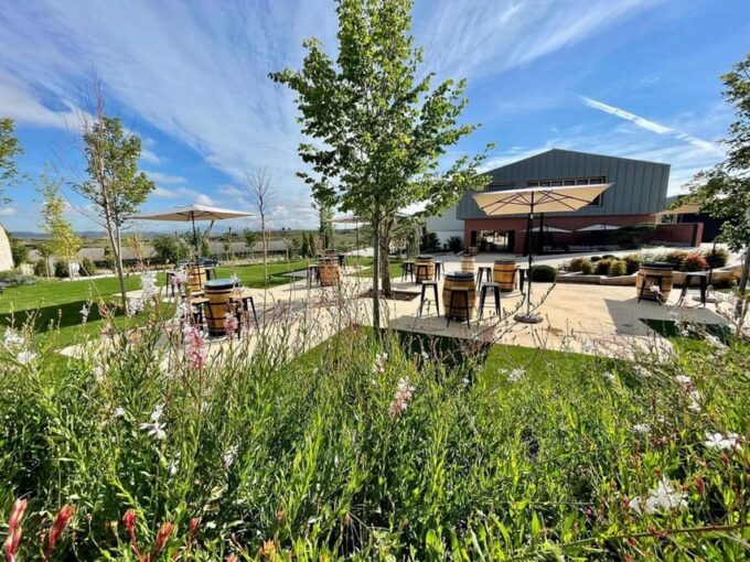 Rioja: Wine Tasting and Sampling at the Martínez Alesanco Family Winery - Blend of Tradition and Innovation