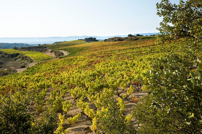 Rioja Wine Tour: 2 Wineries From Bilbao - Exploring Rioja Wine