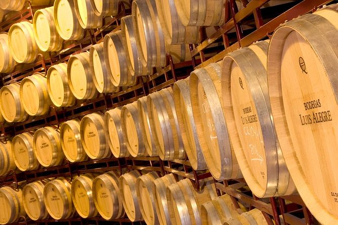 Rioja Wine Tour: 2 Wineries From Bilbao - Winery Visits